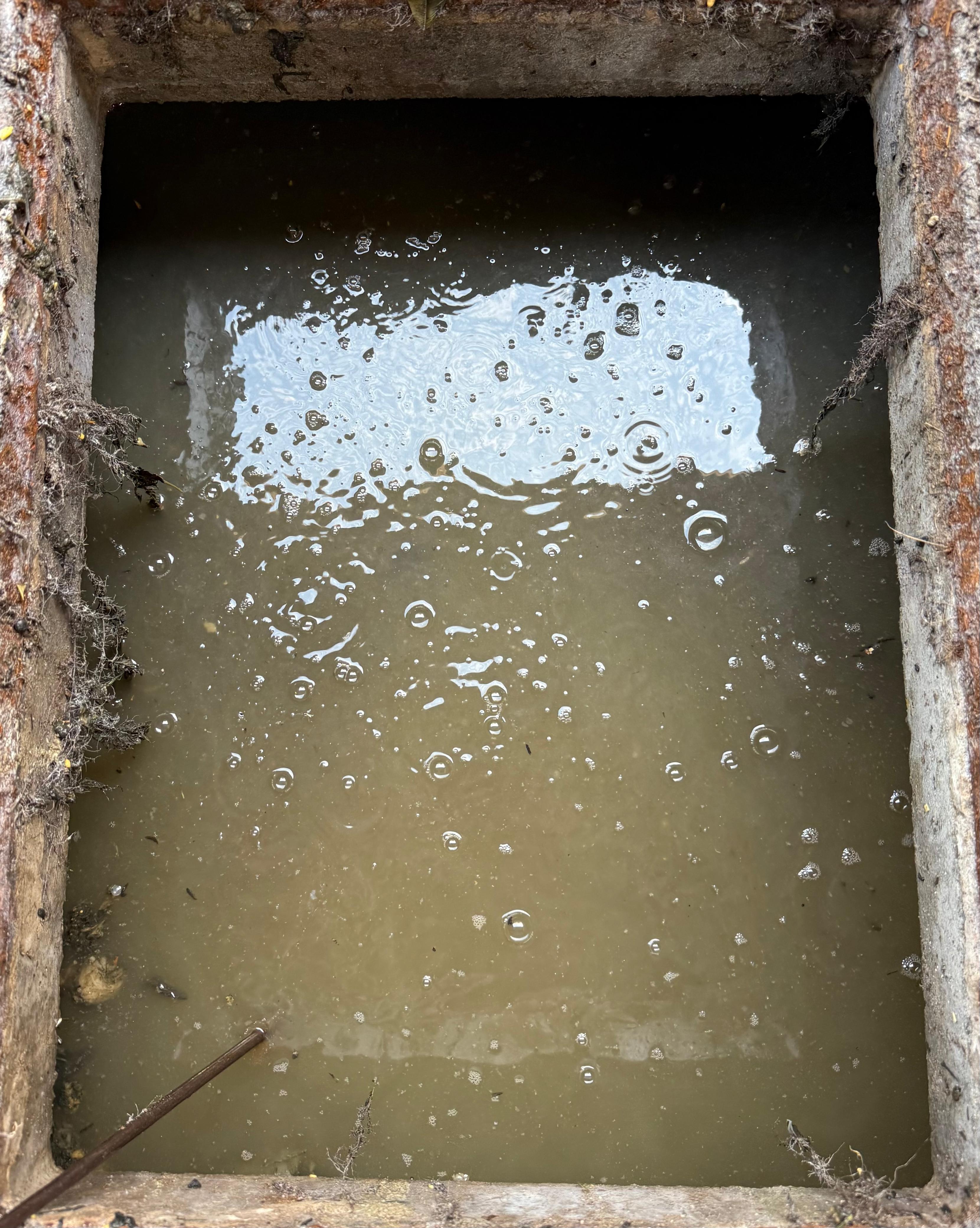 Drain Cleaning & Unblocking