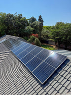 Solar Panel Cleaning