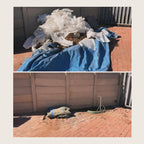 Demolitions & Removals