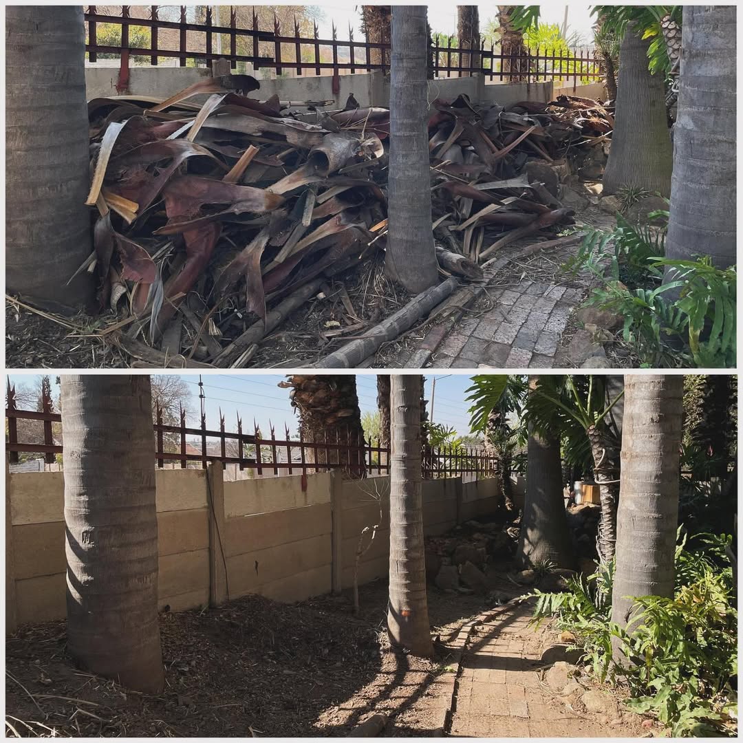 Demolitions & Removals