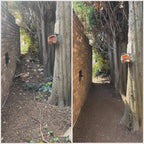 Demolitions & Removals