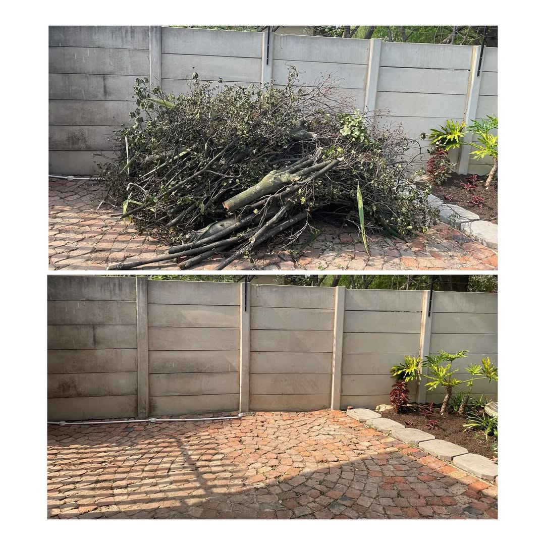 Demolitions & Removals